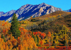 Autumn Serenity Boulder Mountains