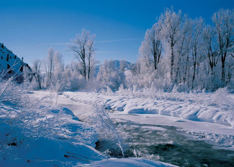 Wood River Frost