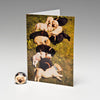 SUN RAY MAGNET CARDS