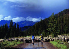 Mountain Biking with Some Idaho Natives