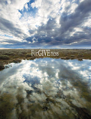 ForGIVEness #17a