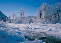 Wood River Frost