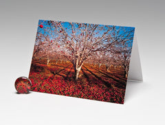 APPLE ORCHARD MAGNET CARD