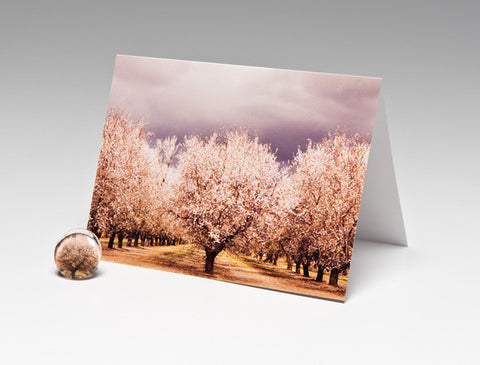 ALMOND ORCHARD MAGNET CARD