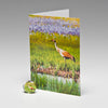 MAGNIFICENT MORNING MAGNET CARD