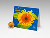 MAGNIFICENT MORNING MAGNET CARD